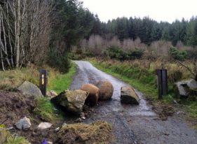 Başarı İçin Unvan Değil, Beceri İnşa Edin*