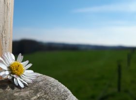 Hangi Açıdan Baktığınızın Farkında mısınız?