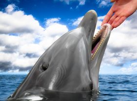 İşte Duygulara Dokunmak