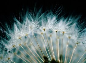 Yeni Yılın Bizden Bekledikleri