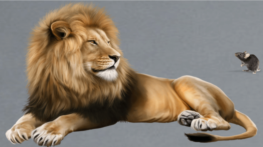 Fare ile aslan